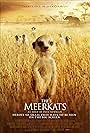 The Meerkats (2008)