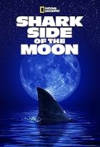 Shark Side of the Moon