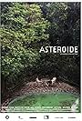 Asteroide (2014)