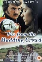 Far from the Madding Crowd