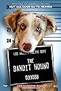 The Bandit Hound (2016)