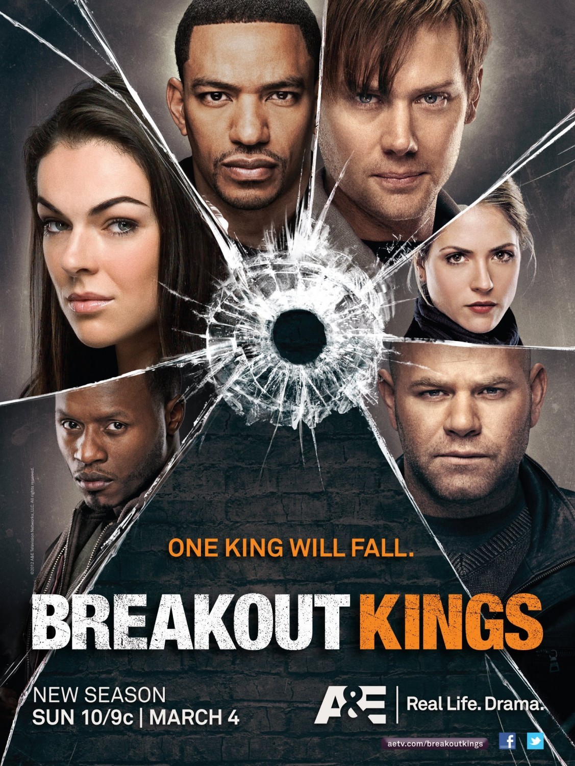 Laz Alonso, Malcolm Goodwin, Domenick Lombardozzi, Brooke Nevin, Jimmi Simpson, and Serinda Swan in Breakout Kings (2011)