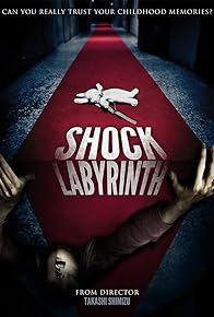 Primary photo for The Shock Labyrinth