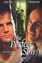 A Perfect Son (2000)