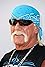 Hulk Hogan's primary photo