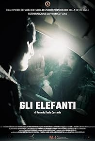 Primary photo for Gli elefanti