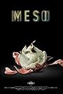 Meso (2017)