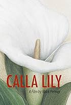 Calla Lily