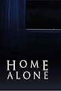 Home Alone (2017)