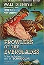 Prowlers of the Everglades (1953)