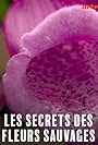 Les secrets des fleurs sauvages (2018)