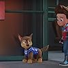 Will Brisbin and Iain Armitage in PAW Patrol: The Movie (2021)