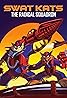 Swat Kats: The Radical Squadron (TV Series 1993–1995) Poster