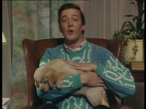 Stephen Fry in A Bit of Fry and Laurie (1987)