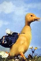 Saturnin, le petit canard (1965)