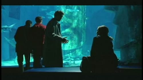 Closer Scene: The Aquarium