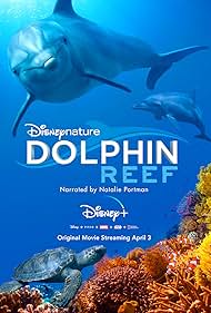 Dolphin Reef (2018)