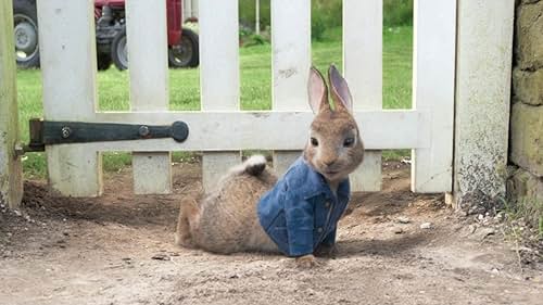 Peter Rabbit: Let's Do This