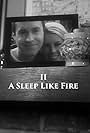 A Sleep Like Fire (2012)