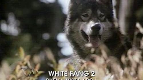 White Fang 2: Myth of the White Wolf