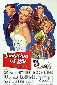 Primary photo for Imitation of Life