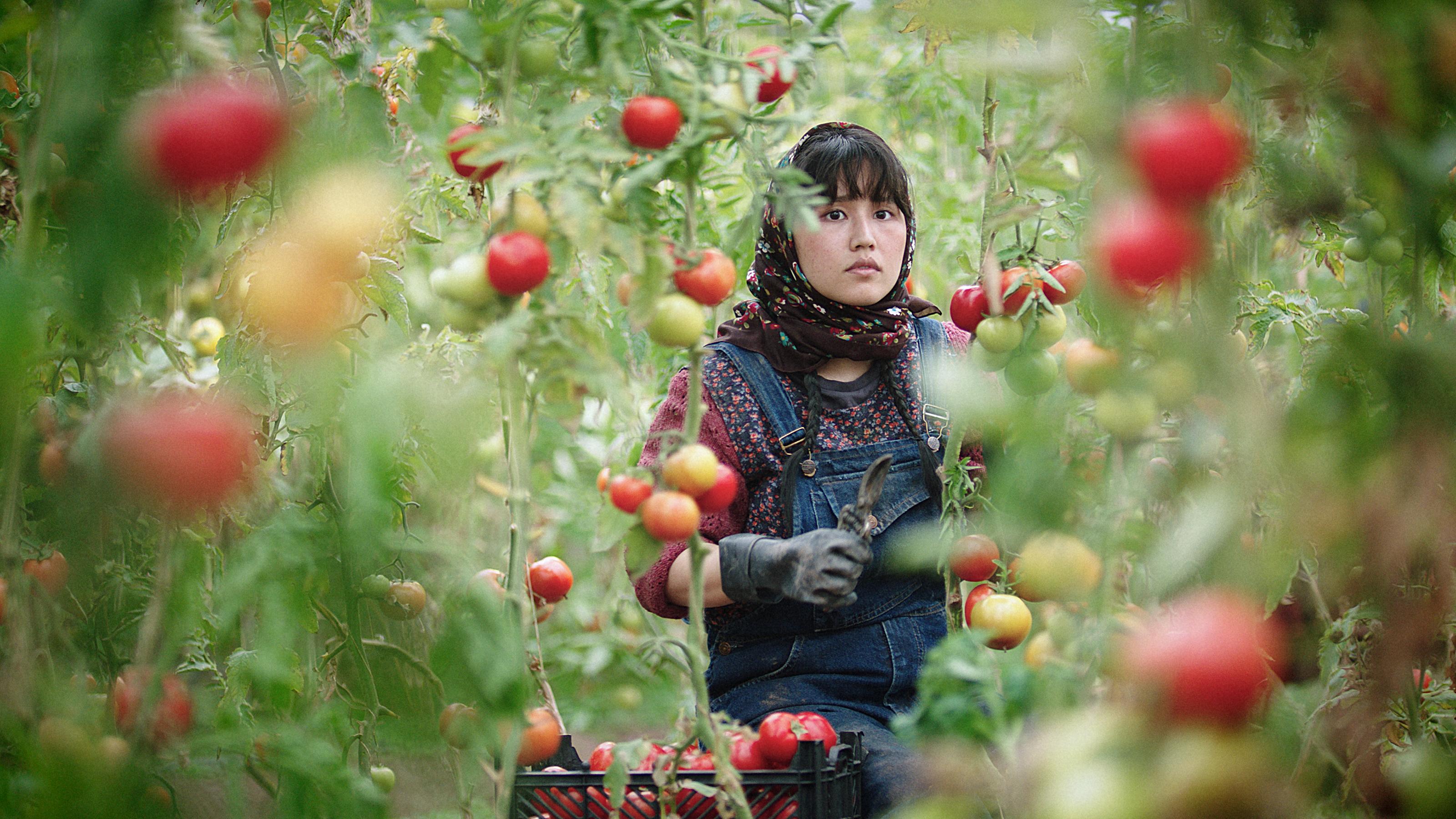 Hamideh Jafari in In the Land of Brothers (2024)