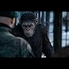 Woody Harrelson, Ty Olsson, and Andy Serkis in War for the Planet of the Apes (2017)