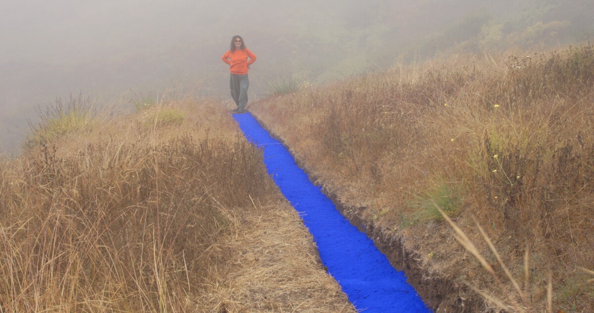 A woman in a bright orange sweatshirt and gray sweatpants stands in a foggy coastal brush with an ultramarine stripe at her foot that extends over the brush like a trail