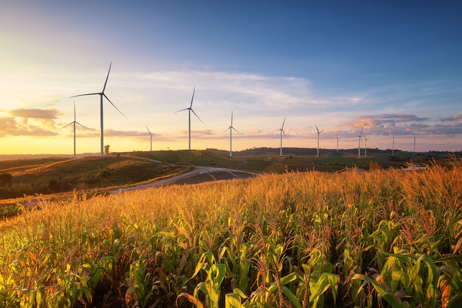 Wind turbines in field GEO.jpg