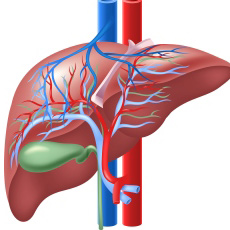 Bile Duct Diseases