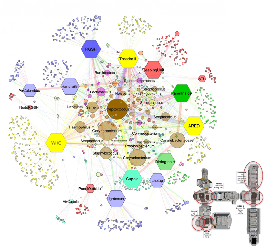 Space Station conditions are selective but do not alter microbial characteristics relevant to human health