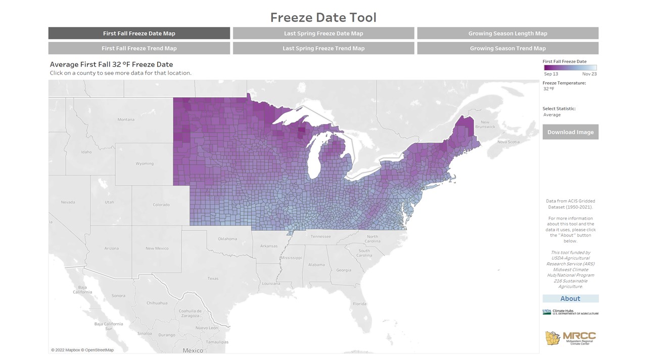 Freeze Date Tool