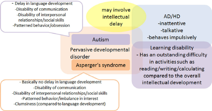 FIGURE 12. Conceptual diagram of developmental disabilities. Courtesy of the author.