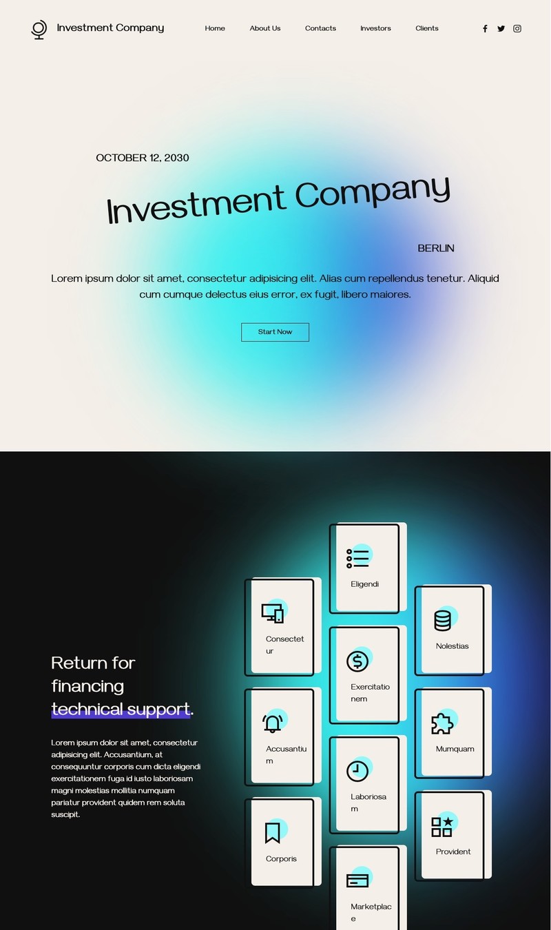 Investment Company