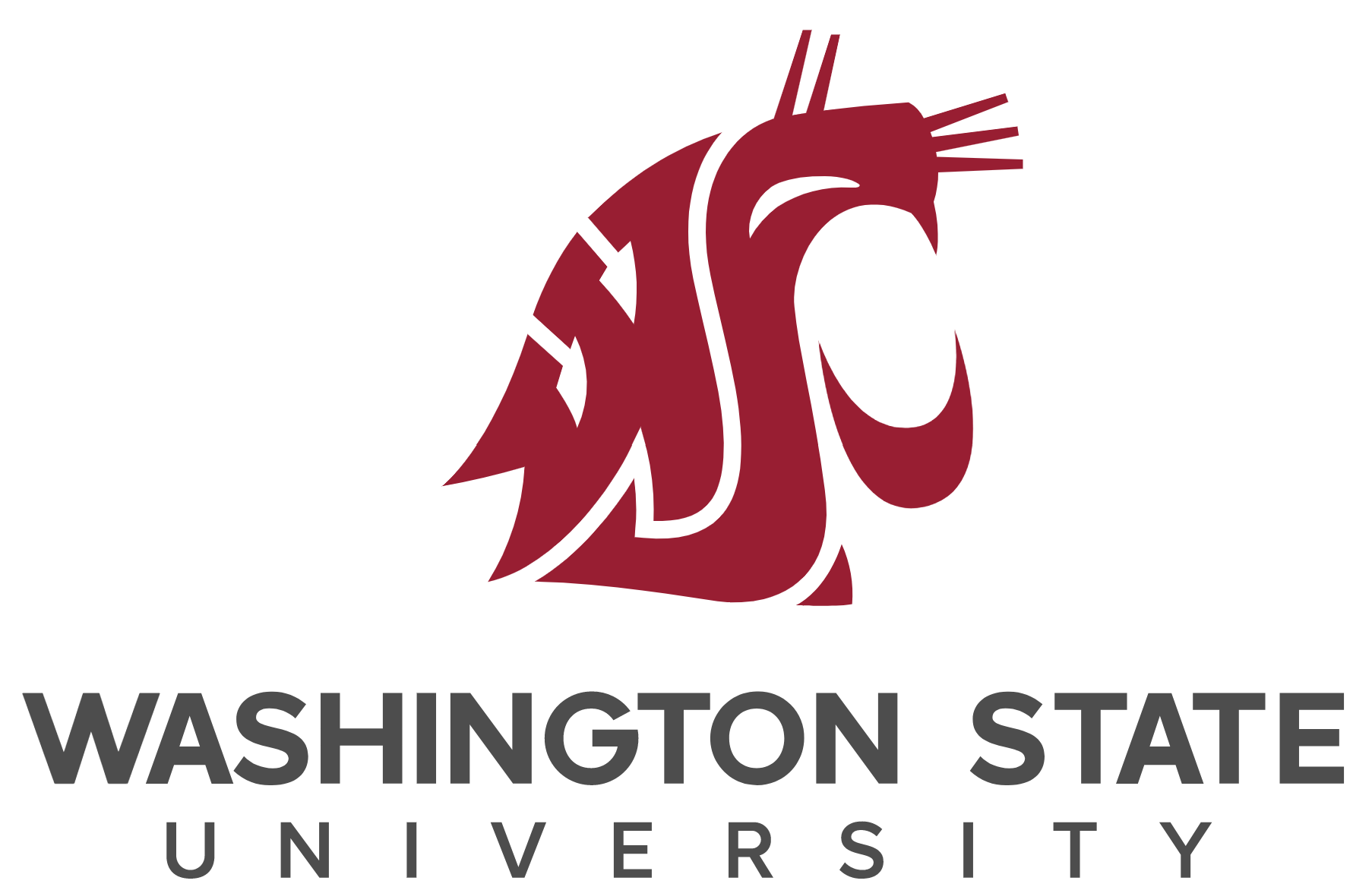 Washington State University Graduate IPN