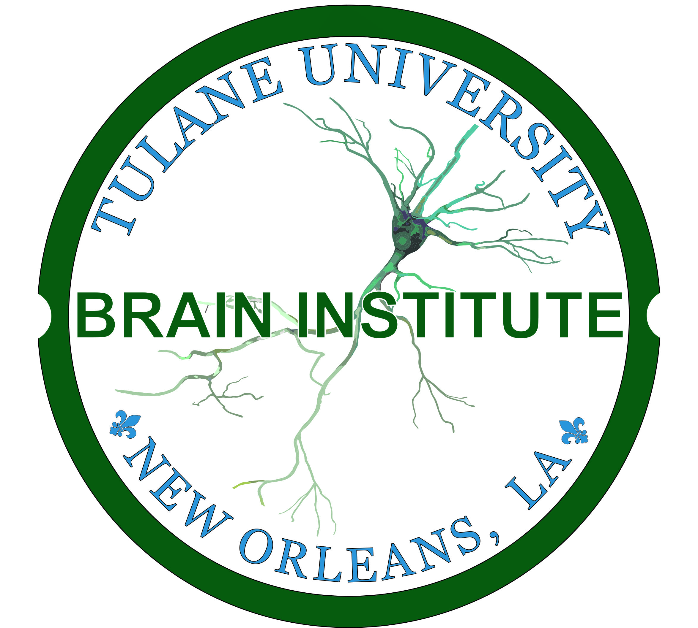 Tulane University Graduate Neuroscience Program