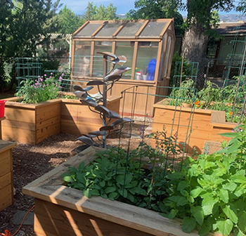 A small greenhouse with garden beds in front containing green plants and trees in the background.