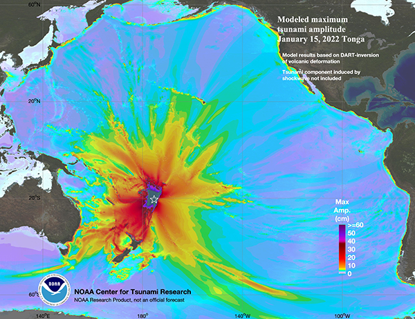 Maximum computed tsunami amplitudes