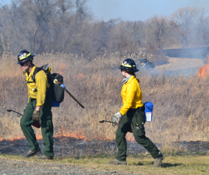 Learn & Burn at Redden State Forest