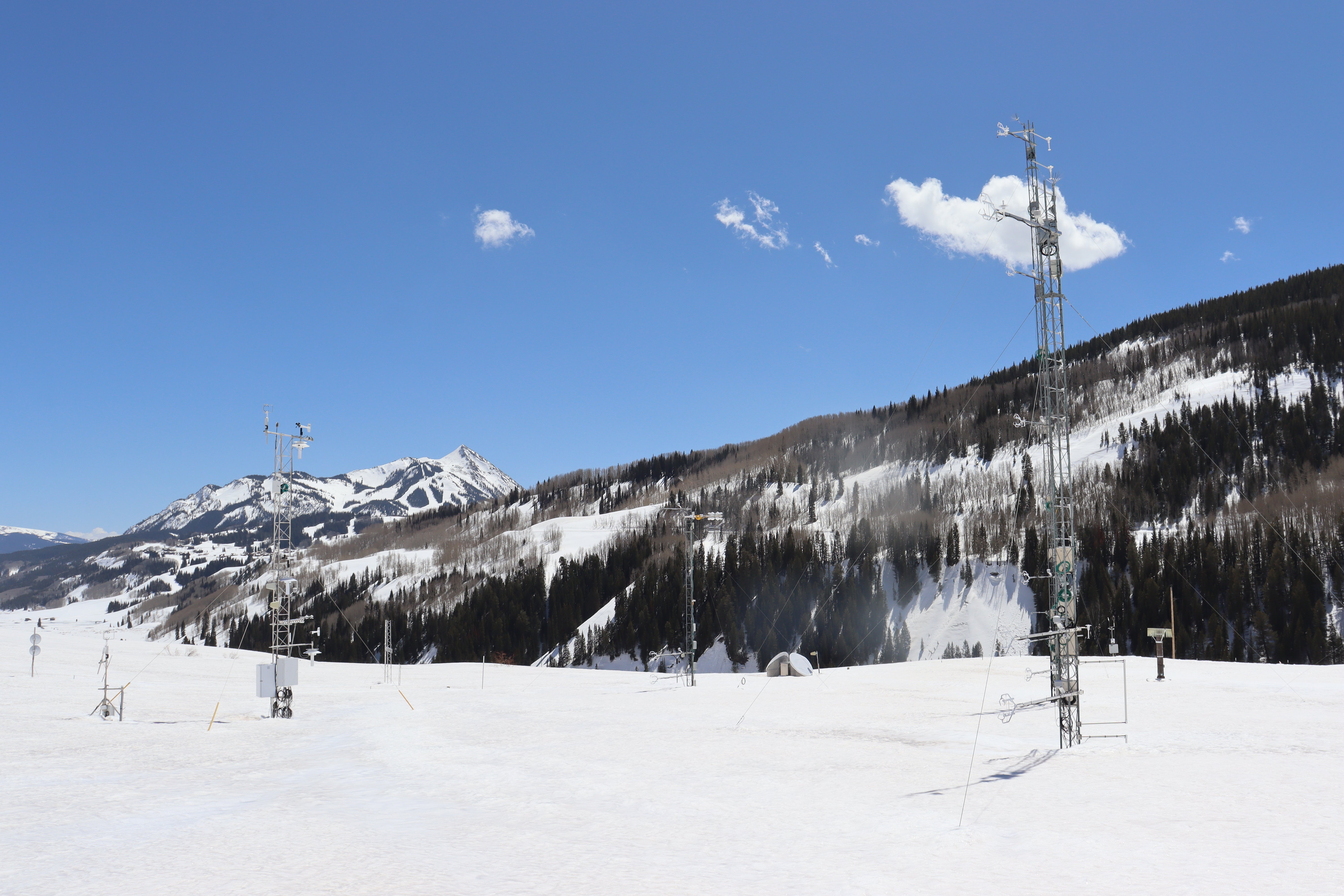 Towers at SOS field site