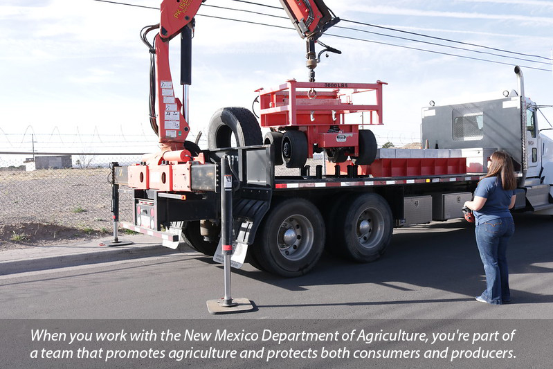 a female employee operating a red weighing machine on the bed of a truck.