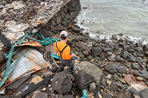 Lahaina wildfires effects on coral reef health 