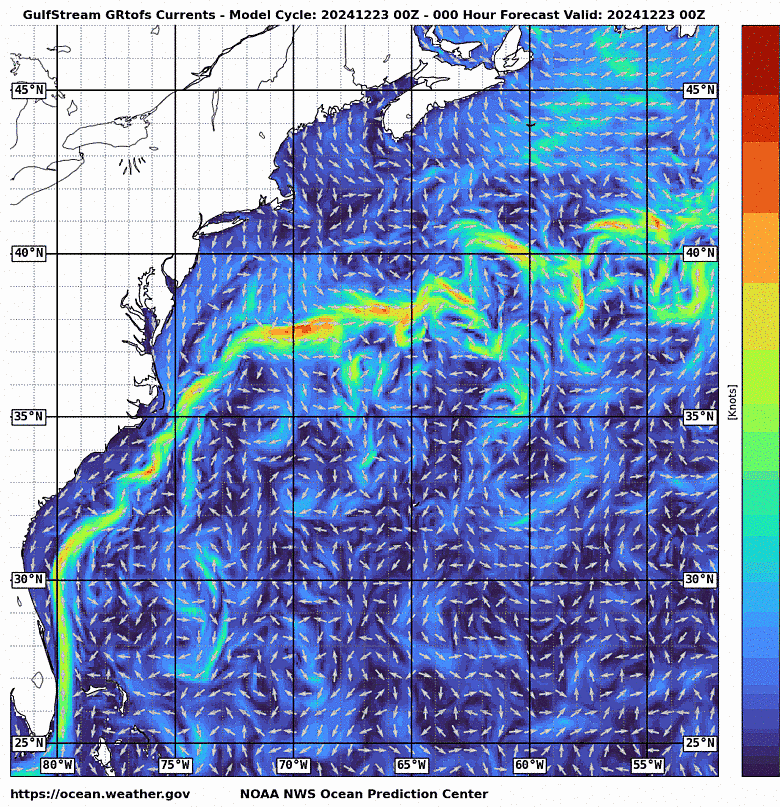 Ocean Model Currents