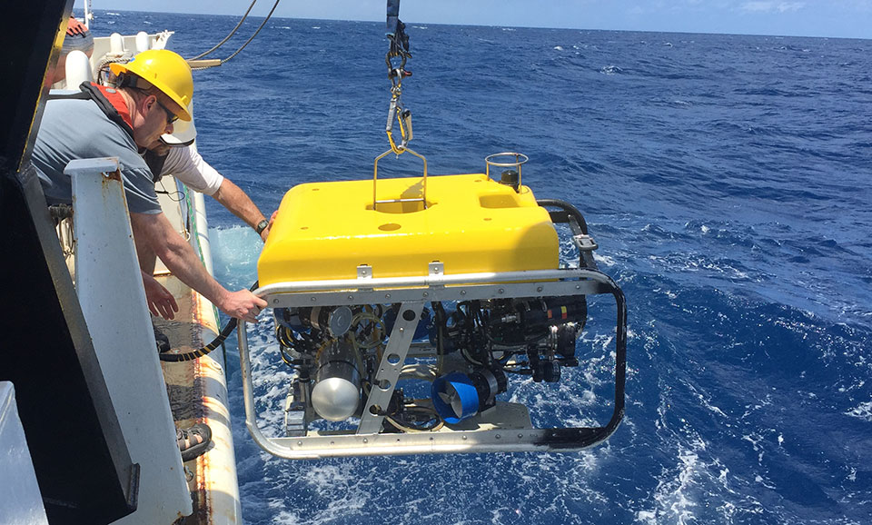 Tim Battista viewing ROV dive screen