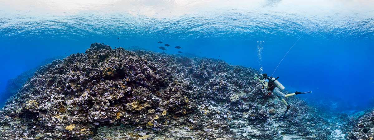 The Channel at Rose Atoll, American Samoa