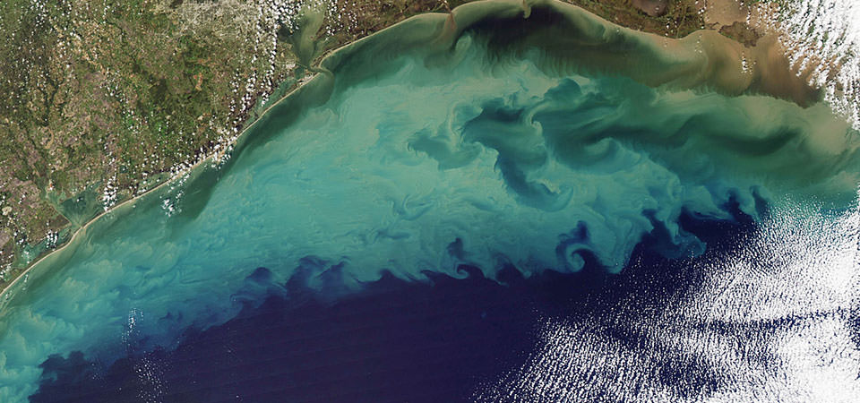 Lake Erie harmful algal bloom