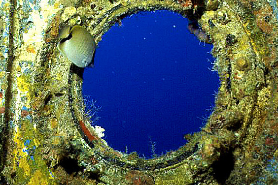 image of an artificial reef