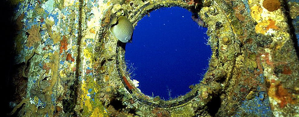 In 1986, the Thunderbolt was intentionally sunk in 36.6 meters (120 feet) of water four miles south of Marathon and Key Colony Beach in Florida. The ship’s superstructure is now home to colorful sponges, corals, and hydroids, providing food and habitat for a variety of sea creatures.