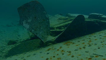 Sanctuaries: The Underwater Museum