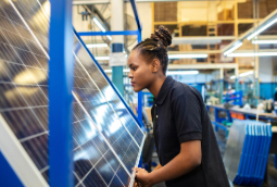 Person looking at solar panel